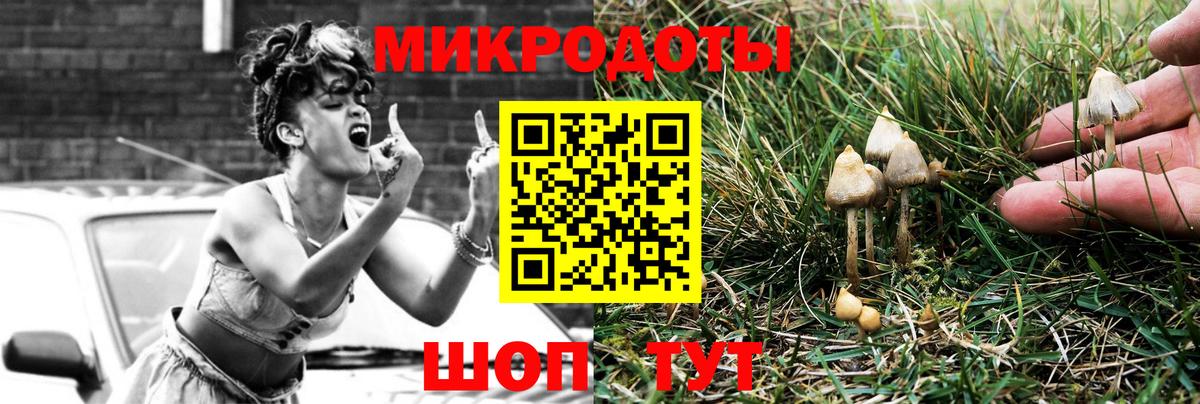 Ногинск  Галлюциногенные грибы GOLDEN TEACHER  Вход с VPN  Псилоцибиновые грибы GOLDEN TEACHER 