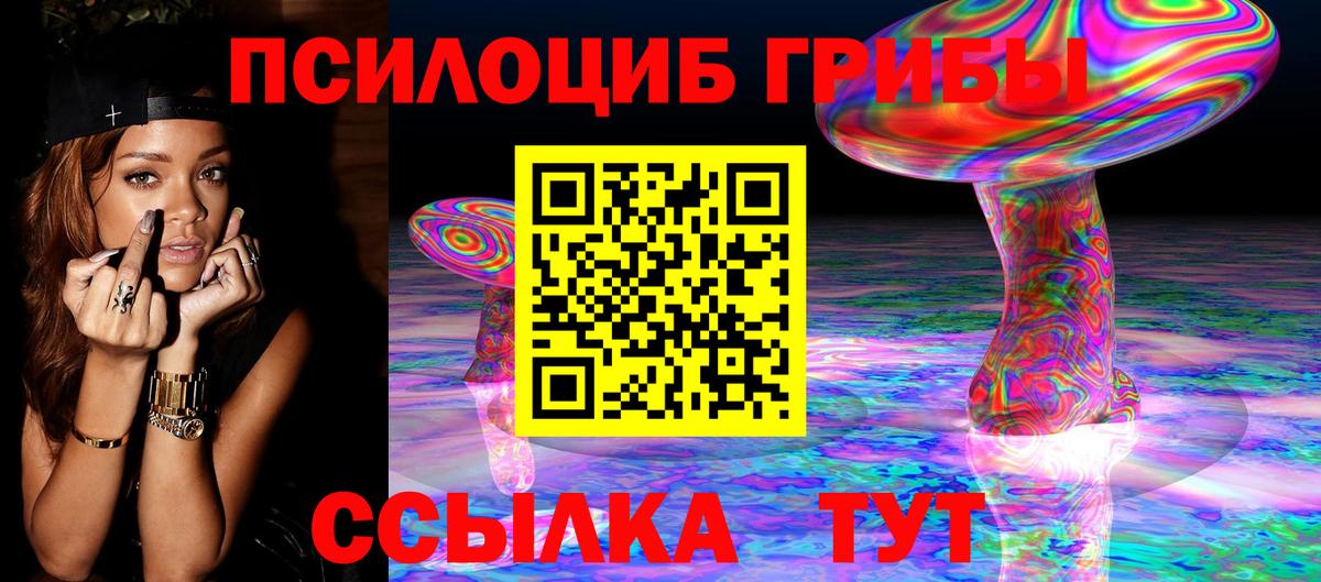 Псилоцибиновые грибы мицелий Ногинск